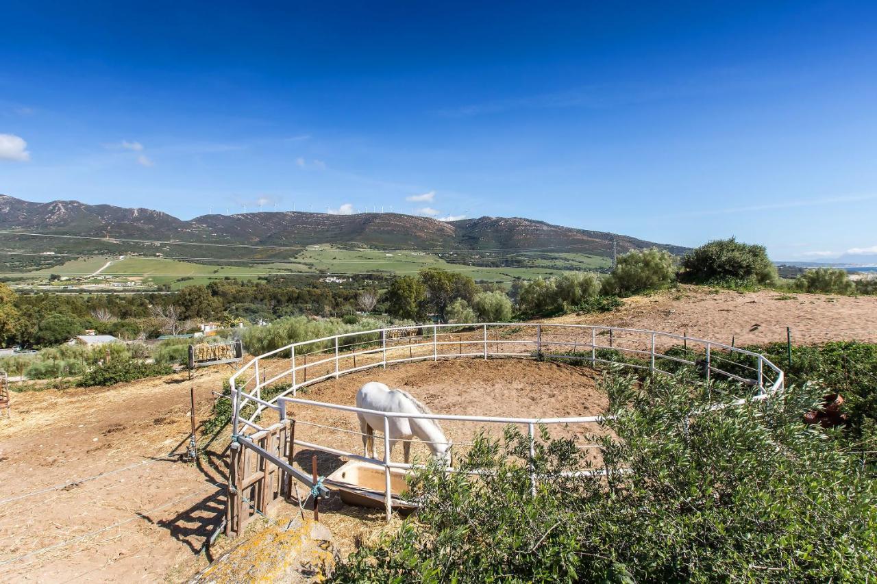 Casita Rural En Centro De Hipica Apartment Tarifa Bagian luar foto