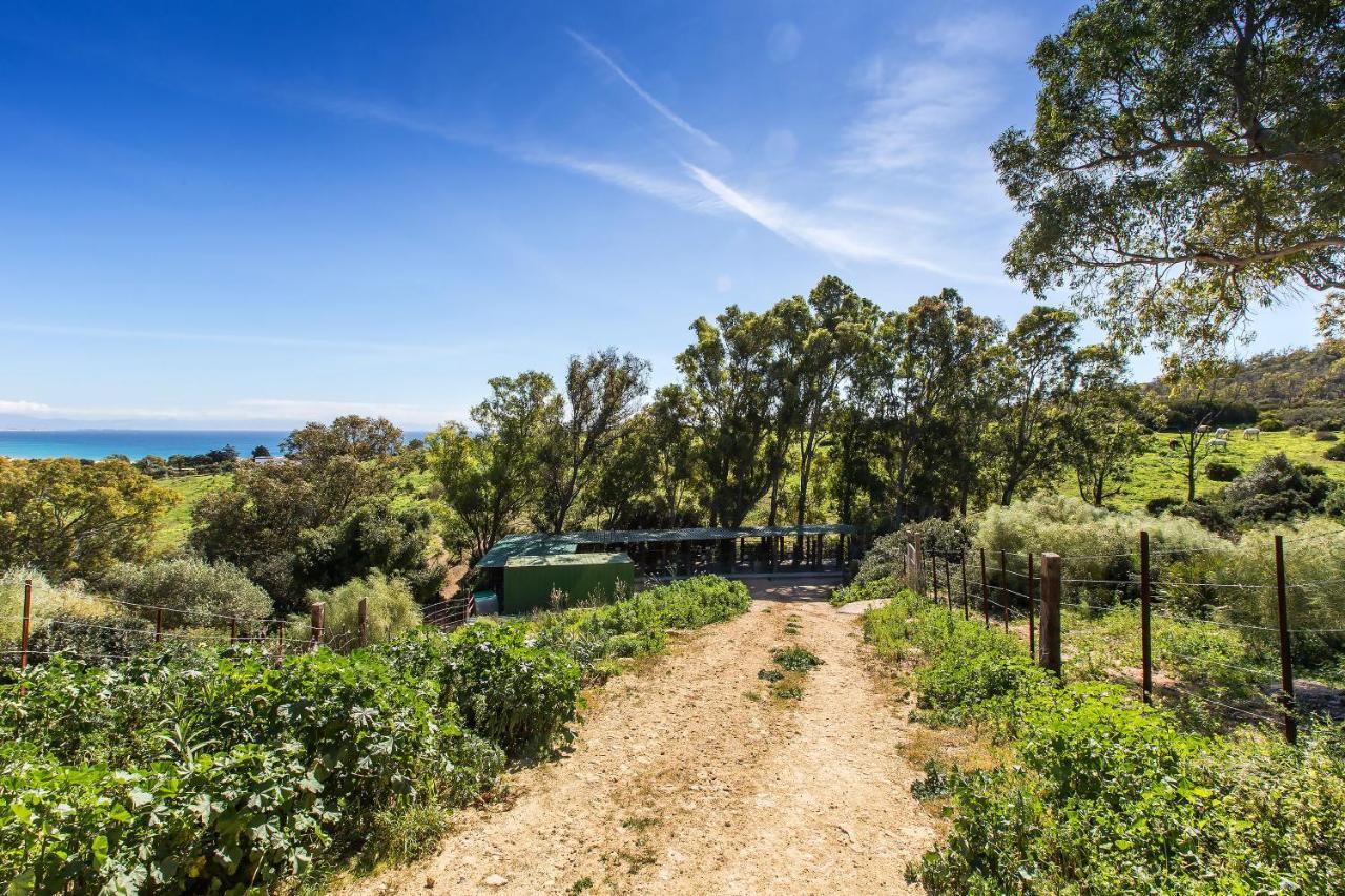 Casita Rural En Centro De Hipica Apartment Tarifa Bagian luar foto