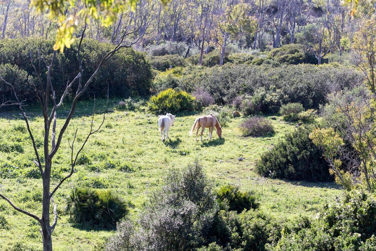 Casita Rural En Centro De Hipica Apartment Tarifa Bagian luar foto
